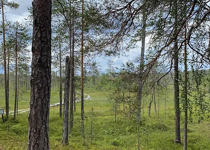 Kultakero Northern Sky, 3br Penthouse With Jacuzzi 128m2 4* Pyhätunturi